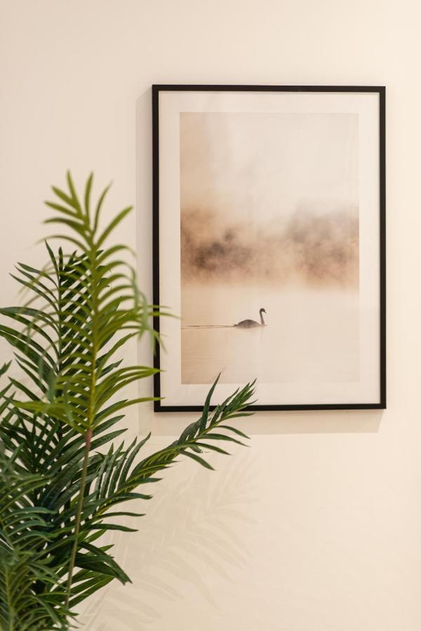 Luz - Appartement Hyper Centre Saint-Etienne ภายนอก รูปภาพ